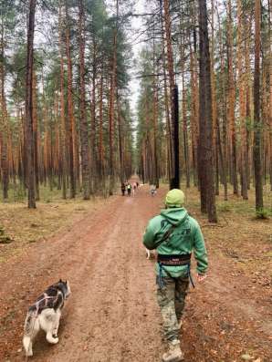 Догтрекинг / Прогулка с Хаски в Перми