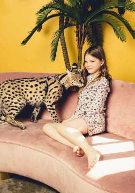 Savannah F1, Savanna, Саванна Ф1