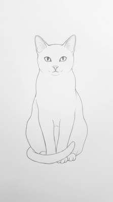 Наресую котика как на фото??