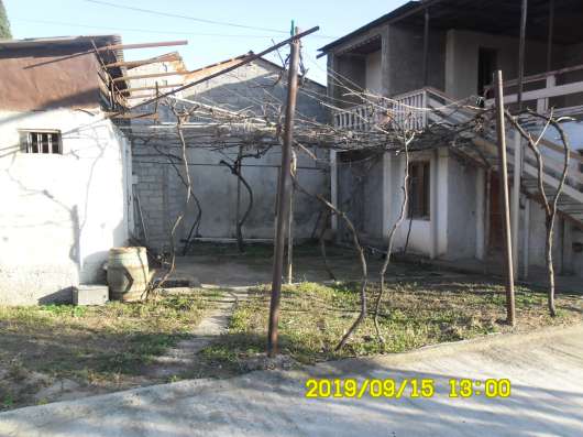 Dacha фото 7