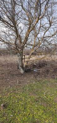 Участок у озера в Ставрополе фото 6