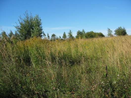 Продаю участок земли в г. Брянске в Брянске фото 3