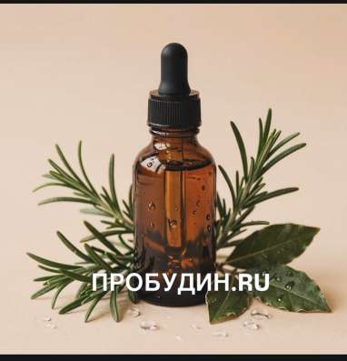 ПРОБУДИН.RU