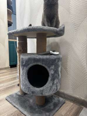 Кошкин дом