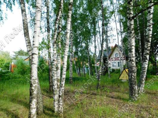 realty_mapper3.plot_in_locationПлощадь 14.00 сот.Есть Электричество, Газ.
