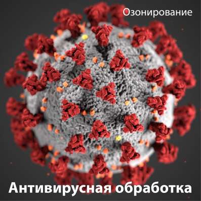 Дезинфекция от вирусов, озонирование 600 куб/м час