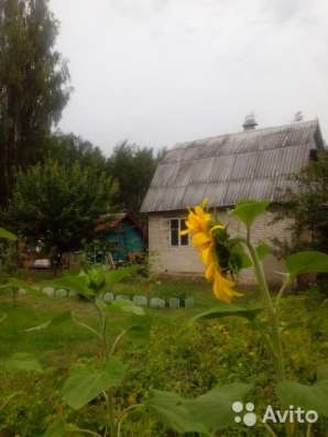 Продам дачу в Костроме фото 17