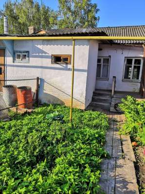 Продается 1 к-кв в Кольчугине фото 12