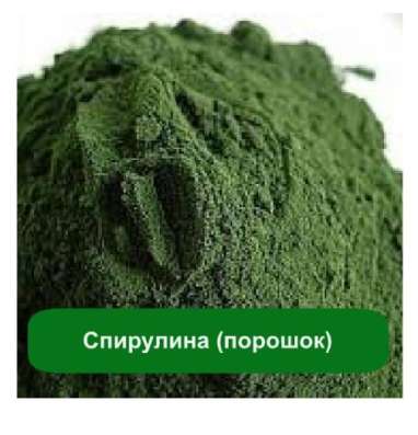 Спирулина (водоросль)