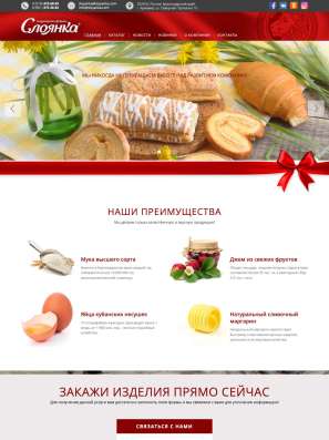 Создание сайтов под ключ в Петрозаводске фото 14