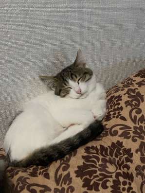 бесплатно мальчик