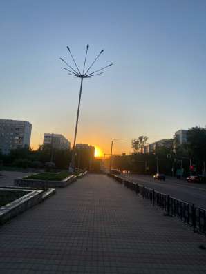 Могу выгуливать собак
