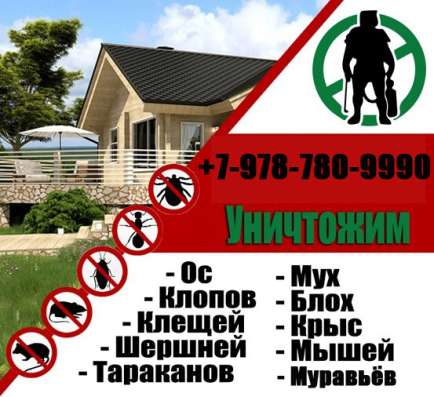 УНИЧТОЖИМ КРЫС, ТАРАКАНОВ И КЛОПОВ в Керчи