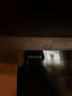 Большой телевизор Sony Bravia 55" в Санкт-Петербурге фото 5
