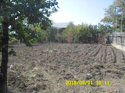 Dacha фото 16