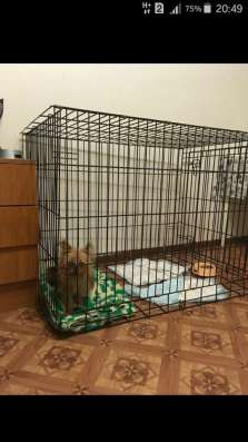 Клетка для собак