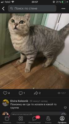 Отдам в добрые руки срочно