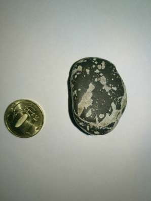 Meteorite Метеорит Achondrite в Москве