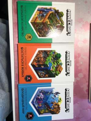 Книги maincraft