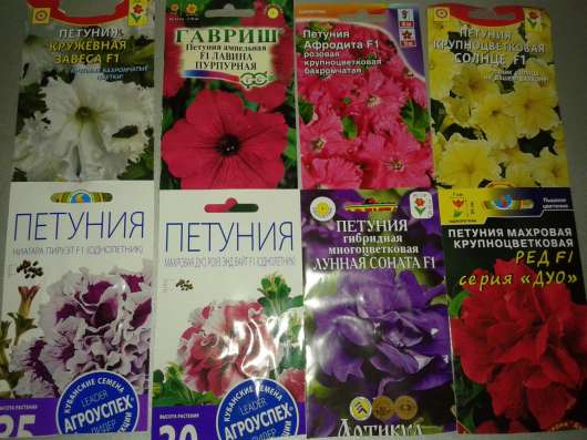 Рассада цветов в Уфе
