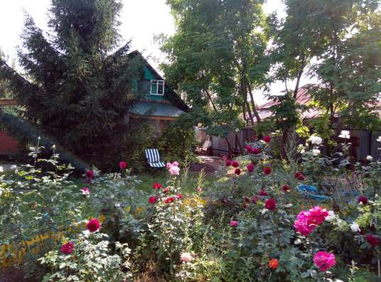 Продаю дачу за Волгой! в Самаре фото 15