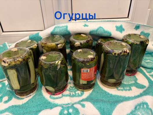 Соленья в Новокузнецке фото 8