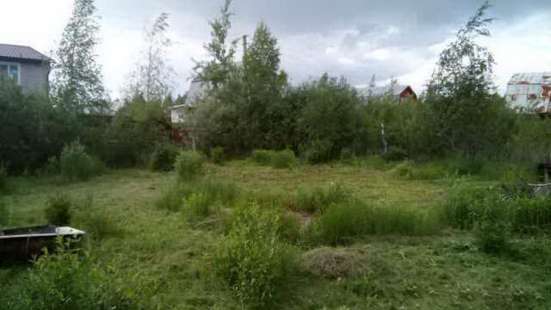 realty_mapper3.plot_in_locationСадовое некоммерческое тов-во. Площадь 6.00 сот.Есть Электричество.