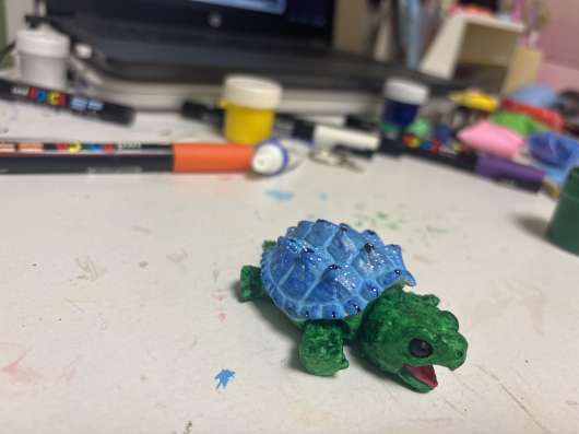 Mini turtle ? в Тюмени