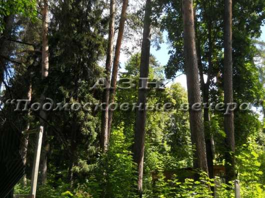 realty_mapper3.plot_in_locationПлощадь 286.00 сот.Есть Электричество, Водопровод. в Москве фото 4