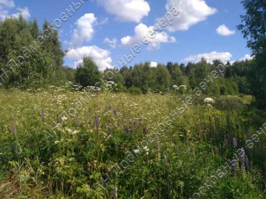 realty_mapper3.plot_in_locationСадовое некоммерческое тов-во. Площадь 12.54 сот.Есть Электричество.