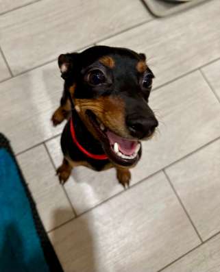 Продаю