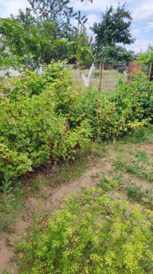 Продаю дачу в Волгограде фото 6