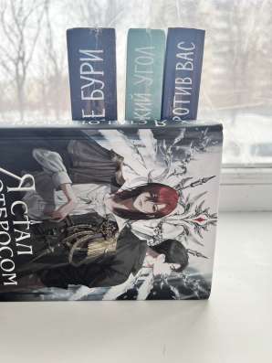 Книга Бакмана в Новосибирске