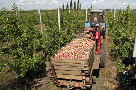 Бригада рабочих на Ваш объект в Симферополе фото 4