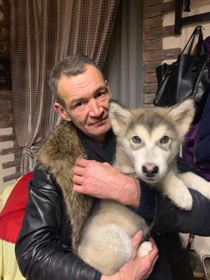 Для создания семьи только С/О в Лыткарино