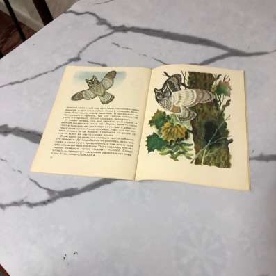 Книга птица чечевица