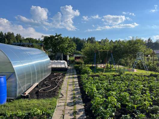 Продаю дачу в СНТ «Зеленый шум» в Кузнецке фото 3