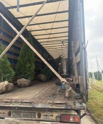Туя Смарагд в Одинцово
