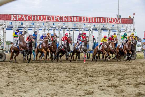 Кубок Губернатора Краснодарского края в Краснодаре фото 7