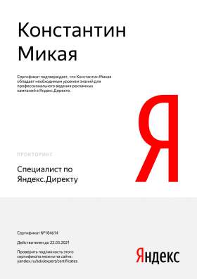 Настройка Яндекс. Директ и Google Ads в Санкт-Петербурге фото 3