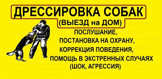 Дрессировка собак