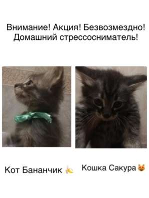 Будущие счастливчики, отзовитесь!