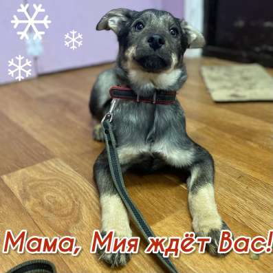 Мия ждет своего человека