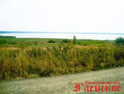 Куплю автомобиль в Екатеринбурге фото 4