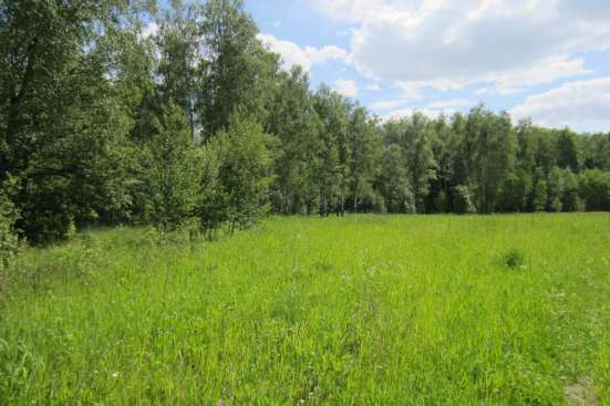 Продам участок ИЖС рассрочка в Москве фото 3
