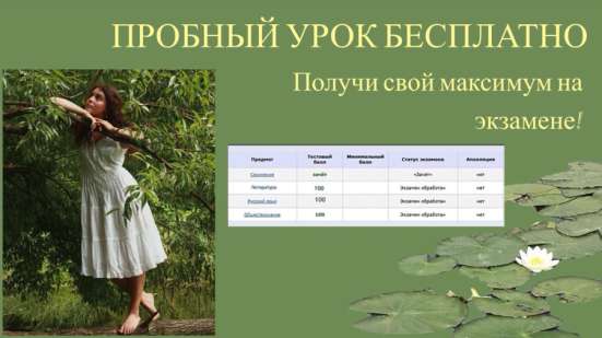 Репетитор по литературе ОГЭ в Жуковском