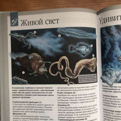 Детская энциклопедия Мир Моря в Москве фото 5
