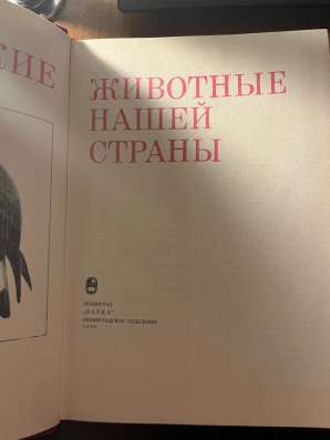 Книги в Новом Уренгое фото 6