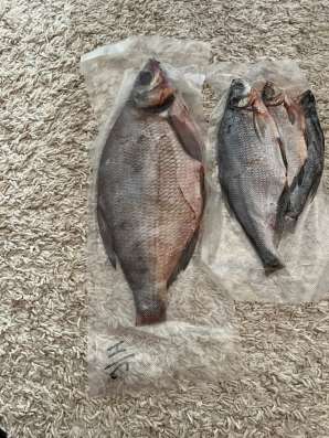 Продам  рыбку
