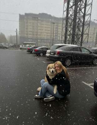 Выгул собак